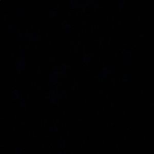 Meet your Posher, Viliami